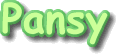 Pansy