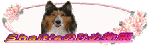 sheltie�̂Ђߕ��ꂳ��