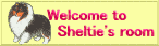 welcome to sheltie's room����