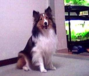 ���߂܂��ā�i2001/03/11�`06/22�j