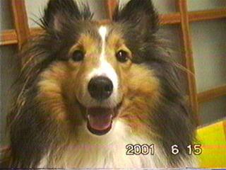 �撣���Ă܂��I�i06/23�`08/03�j