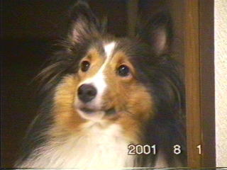 �L���`�����i08/04�`09/07�j