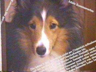 �����`��i09/08�`10/09�j