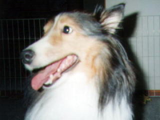 �łց`��i12/06�`12/15�j