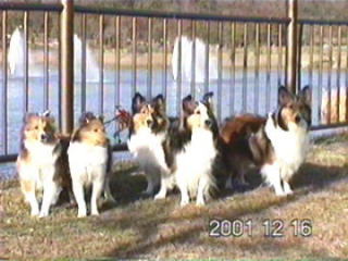 �Ƃ��Ă��V�A���Z��i01/12/16�`12/31�j