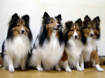 �Ȃ񂾂񂾂łP�O�O���ځI�i06/08/08�`06/10/14�j