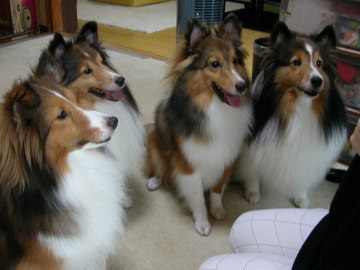 ���������ȁI