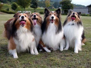 ���������C�Ɂ@��������