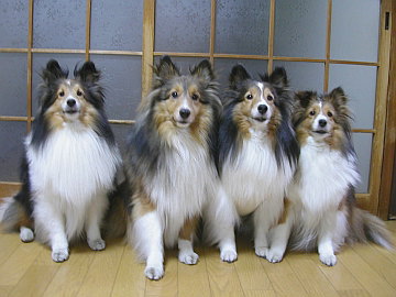 ����̓{�N�I�iby���[�j