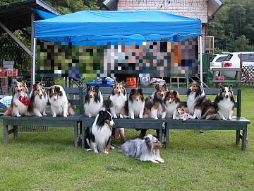 ����ς�y����(2007/08/11)�B