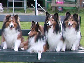 ����ς�y����(2007/08/11)�B