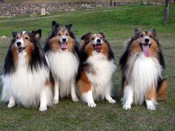 �������������ŁE�E�E(2007/12/24)