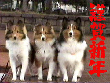 ���N�������V�N��i02/01/01�`01/14�j