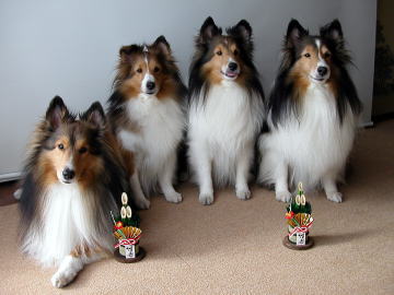 ���N����낵�����肢���܂��B(2008/01/01)