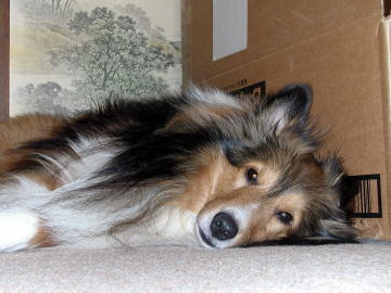 �˂ނ˂ށ`�B(2008/02/11)