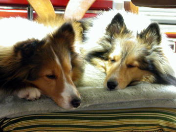 ���ǂ��e�q�u�ށ[�v�Ɓu���[�v(2008/03/15)