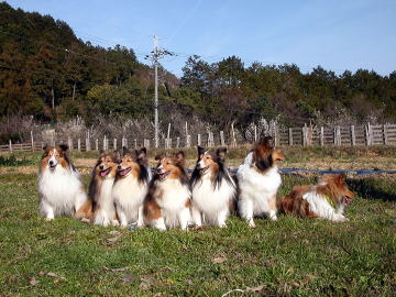 �t�̈����i2008/03/16�j