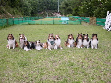 ����ς�y����i2008/08/10�j