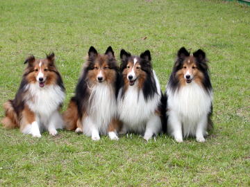 �Ă̈����i2008/08/10�j