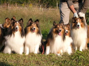 ���Ё[�i20071019�j"