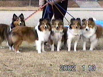 �͂��|�[�Y��i02/01/15�`01/31�j