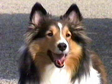 �܂�Ł`����i02/02/01�`02/15�j