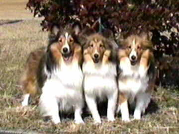 �܂�E�ꂨ�E�ށ[�Ł`����i2/16�`2/28�j