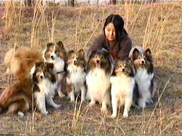 �U�������`��i3/01�`3/10�j