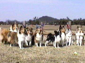 �܂邿��� in �������i3/16�`3/31�j