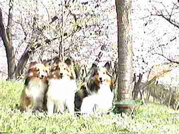 ���Ԍ��������i4/1�`4/15�j