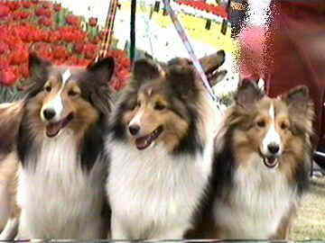 �ߌ��Βn��i4/16�`4/30�j