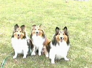 ���Ăł���i5/1�`5/15�j