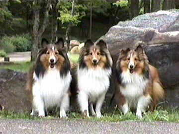 �q�~�c�̉B��ƂɂāI�i5/16�`5/31�j