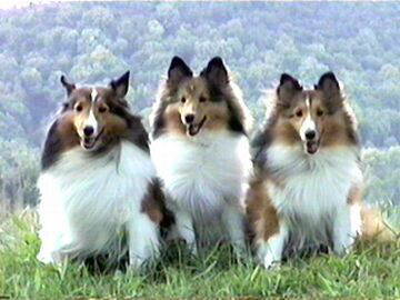 �����������i6/1�`6/15�j