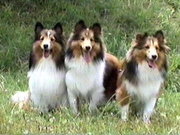 �A�b�`�b�`�I�i6/16�`6/30�j