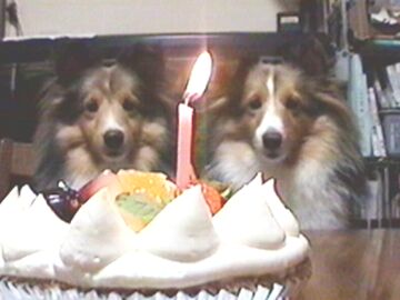 Happy Birthday!!�i7/16�`7/31�j