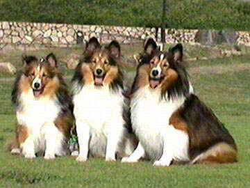 �������������܂��I�i8/1�`8/16�j