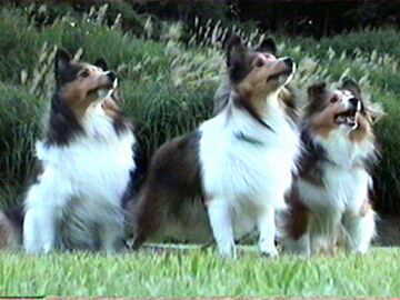 �����I�i8/17�`8/31�j