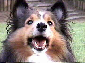 �������́H�i9/1�`9/15�j