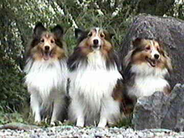 ��������H�ł��B�i9/16�`9/30�j