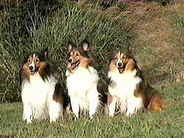 �H���i�I�i10/1�`10/12�j