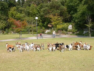 �y���������ˁ�i10/13�`10/25�j