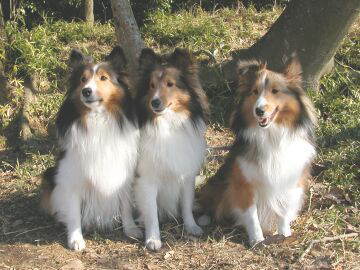 ���������~���B�i12/16�`12/31�j