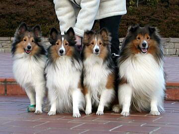 ������񂪂���Ă����B�i1/16�`1/31�j