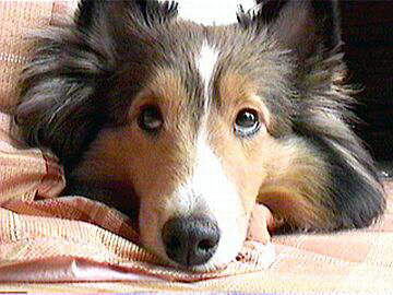 �����̃}�[����i2/1�`2/14�j