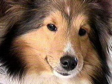 �˂ނ˂ރ��I���B�i2/15�`2/28�j