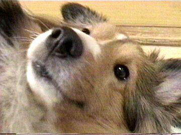 �܂����胀�[����i3/1�`3/10�j