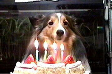 ���a�������߂łƂ���i3/11�`3/15�j