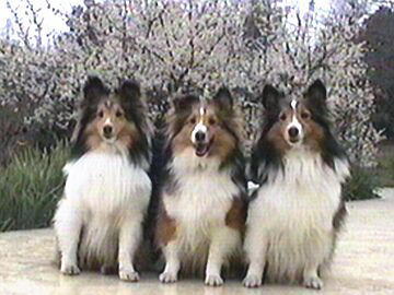 �~�͍炢�����i3/16�`3/31�j