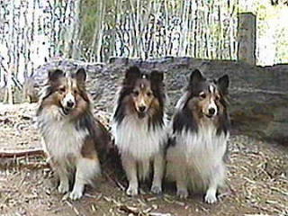 �w��D�΁x�i4/1�`4/15�j